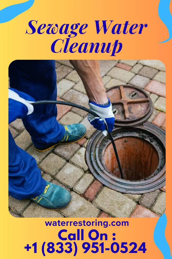 Sewage Water Cleanup in Belcher, LA